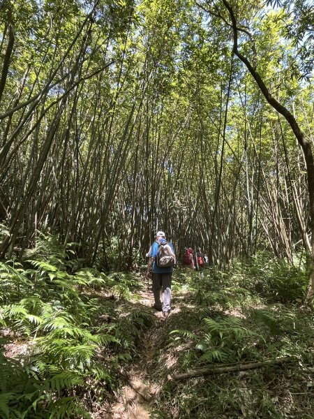 石媽祖古道、南邦寮古道