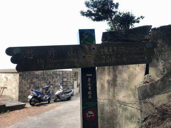 ~  臺北大縱走  第五段  ~1335032