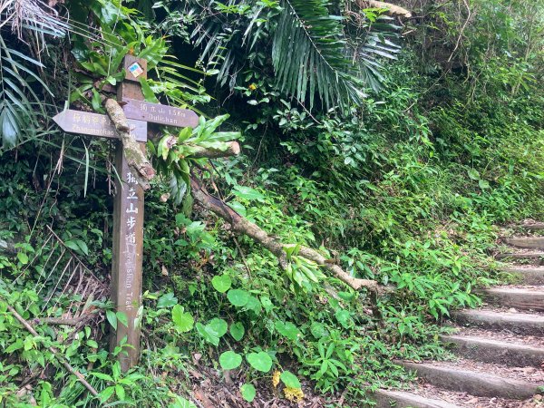 獨立山國家步道2615849