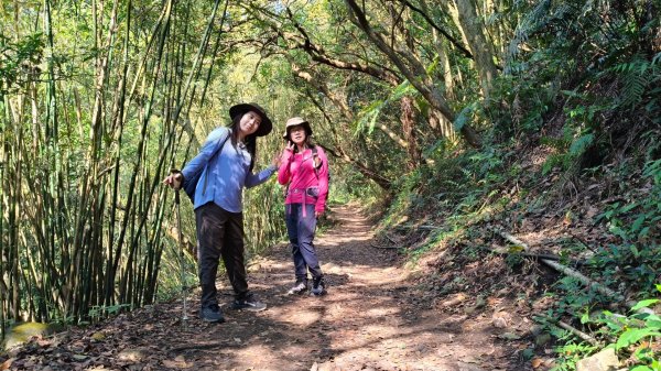 陽明山國家公園202503232743291