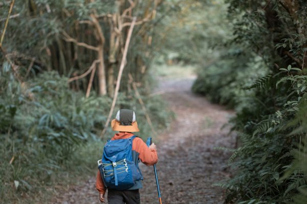 探訪台北溪流之美｜桶後越嶺古道（礁溪-烏來）2911732