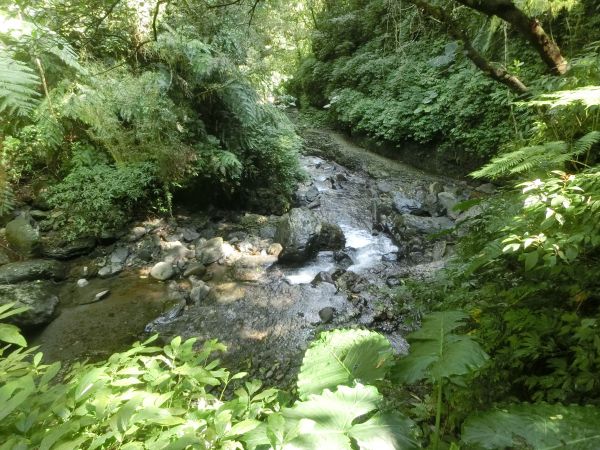 林美石磐步道．淡江蘭陽校區269004