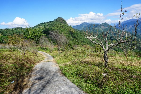 【高雄】三縣界山、河表湖山、拉比嶺山、玉打山、玉打山北峰、卓武山