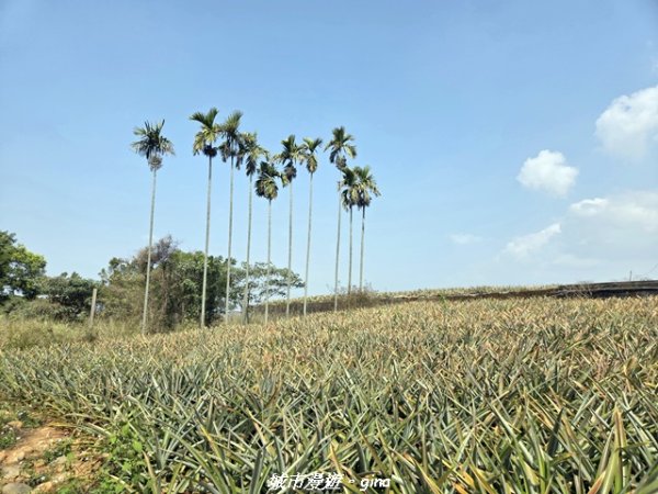 【彰化】員林藤山步道x田尾公路花園3016560
