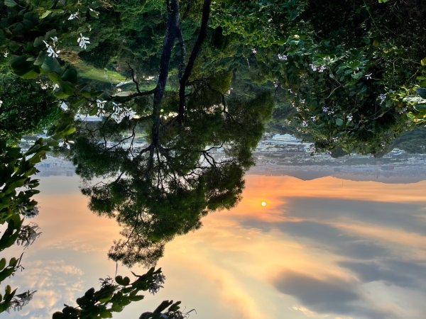 20251101_觀音山（高雄小百岳）2941421