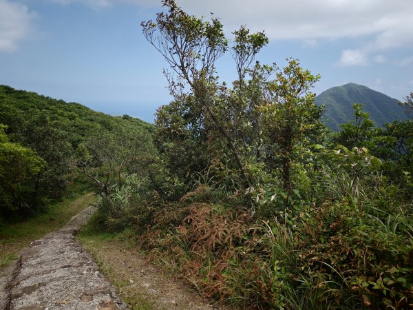 [淡蘭古道] 2026_0531 北路第一段_樹梅坪古道3070656