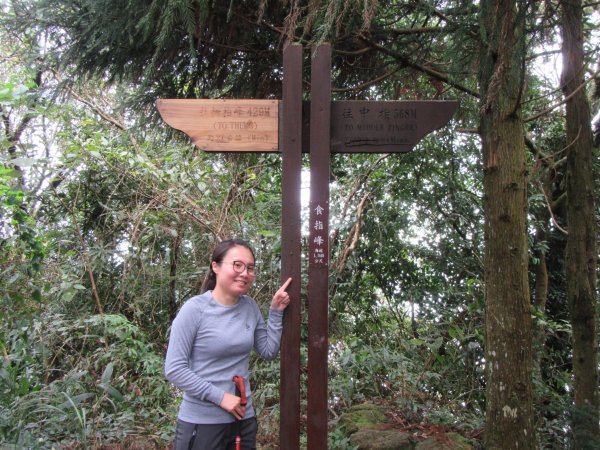 20201205-五指山1197237