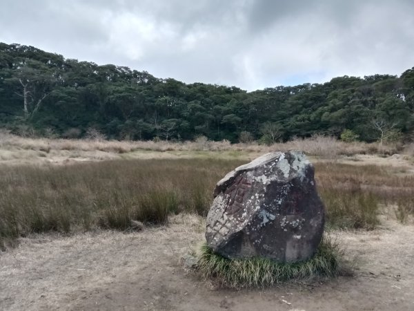 北投區清天宮步道+面天山+向天山+向天池+興福寮步道+頂青礐古道P字走2960014