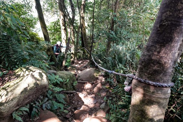 溪洲山小百岳｜福山巖登山步道2898907