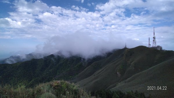 陽明山再見雲瀑觀音圈+月亮同框&夕陽4/22&241359278