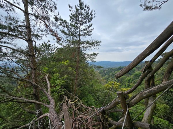 台中大坑4號登山步道2751103