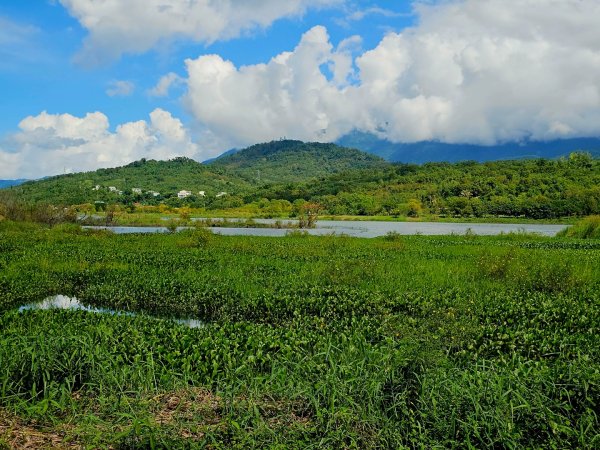 大坡池環潭步道-2025漫遊縱谷愛在花東-台東縣池上鄉2916628