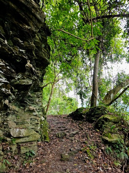 瓦拉米步道(登山口至佳心段)-(花蓮)臺灣百大必訪步道2789408