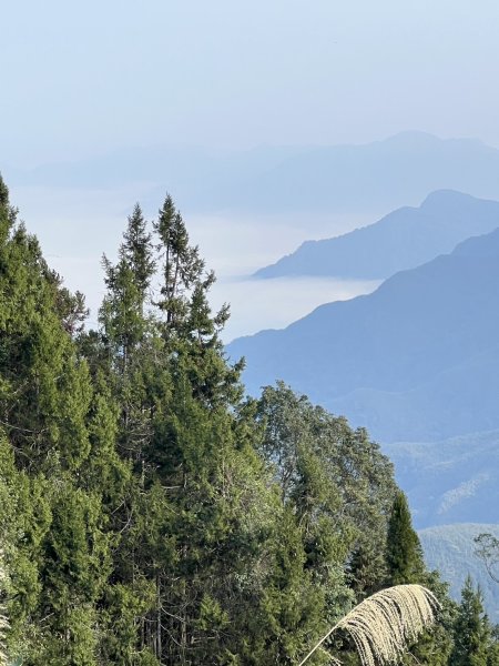 小百岳-金柑樹山2717267