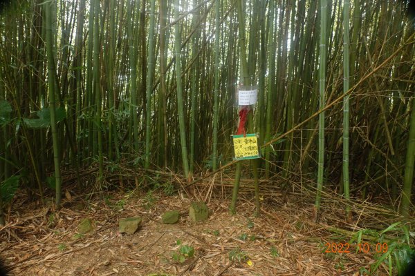 臺南 白河 黃牛山1875977