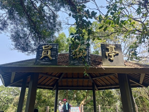 藤山步道登樟普寮一等三角點+挑水古道2749476