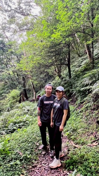 🌈7/5（日）東滿縱走（東眼山~滿月圓）FB：熊熊趴爬走(富裕登山社)🌈3082876