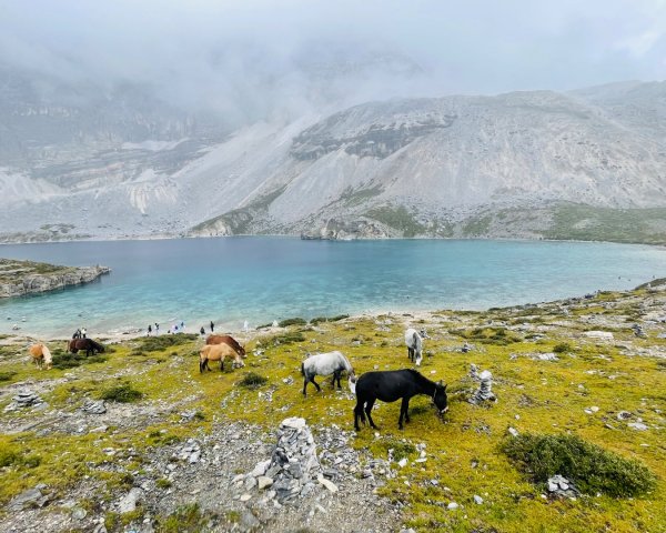 川藏33天深度之旅💙#稻城亞丁-來古冰川2901883