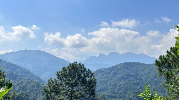 大分林山步道輕鬆走2558721