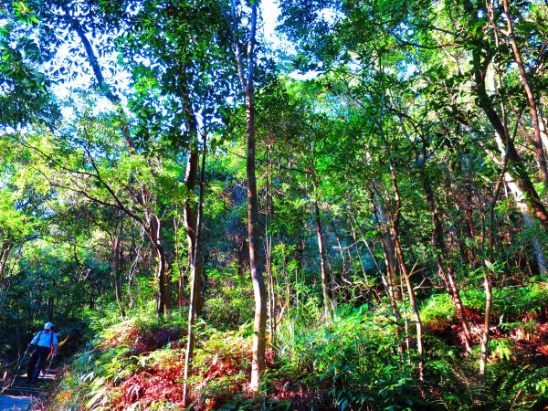 大溝溪親水公園、圓覺瀑布230822