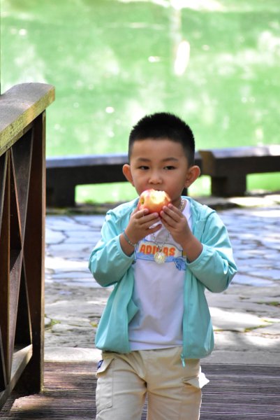 20251011追公車搭公車阿里山漫遊2910920