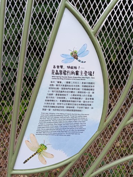 微笑山線大棟山系百年大榕樹段+大湖坑步道2981050