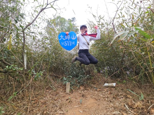20260127三通嶺山.三義山(大桁茂山).慈濟山.大坪山大O走2990001