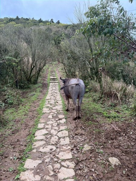 台北 士林 風櫃嘴