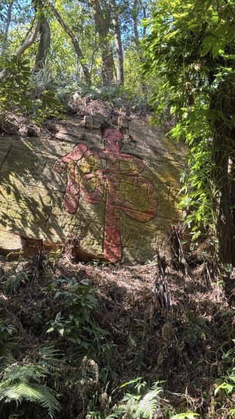 20250215新北投大師岩軍艦岩2718191