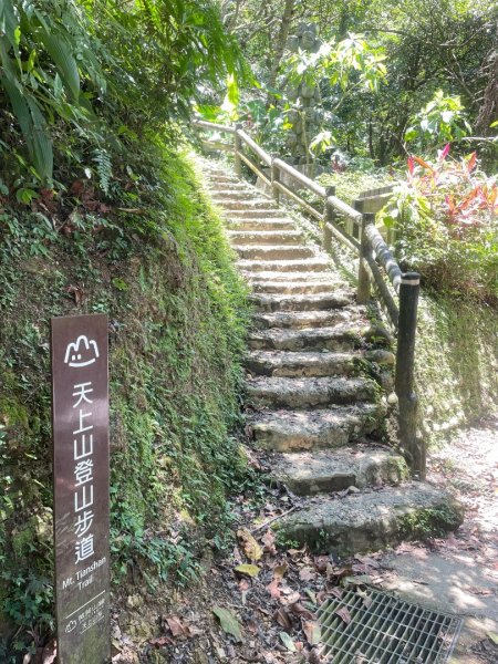 微笑山⛰️線-大棟-二格山-五分山-天上山-鳶山💎12條步道完成💙2837237