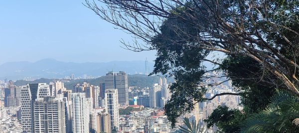 新店獅頭山(小獅山)步道2694744