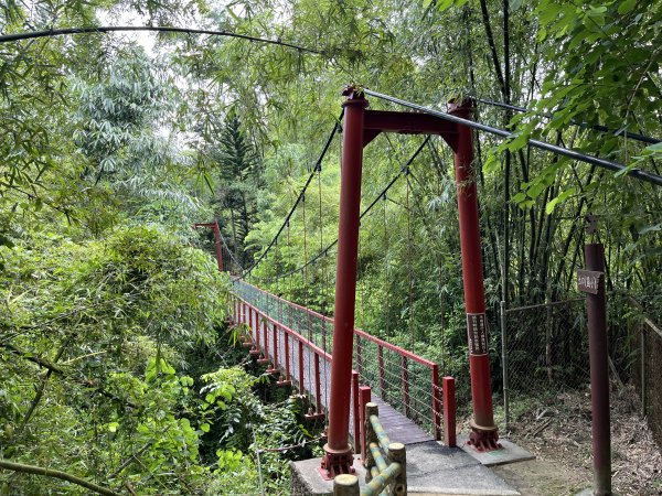 [百山百鳥尋旅-03/15] 2025_0817 虎形山公園步道