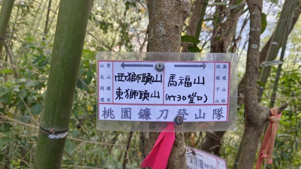 (姨婆趴趴走)第四十六集:新竹關西赤柯山及南峰、東西獅頭山、馬福山環狀縱走2685806