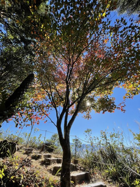 馬拉邦山-楓情萬種1545604