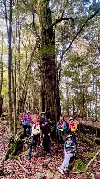 🌈3/7（六）谷關七雄波津加~大雪山進谷關出✨FB：熊熊趴爬走🌈3011483