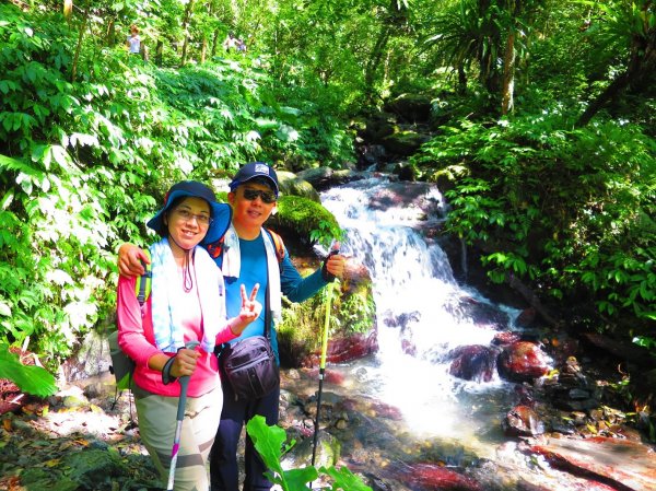 走聖母與三角崙山步道 再探神級抹茶山698472