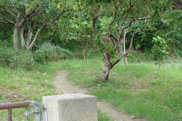 雙園河濱公園．華江雁鴨自然公園1124196