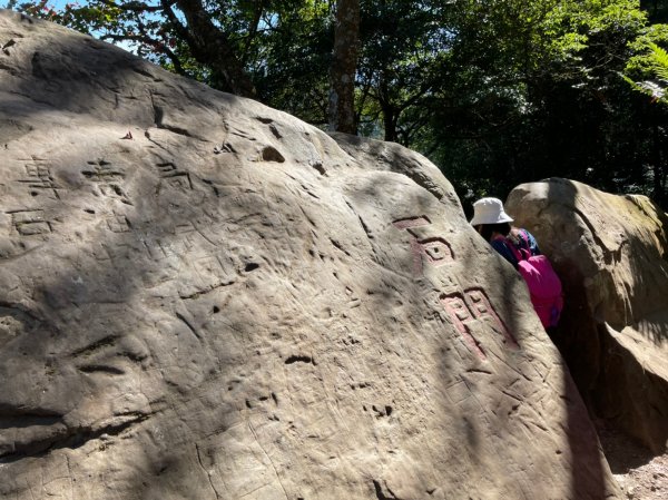 馬那邦山賞楓趣1549557