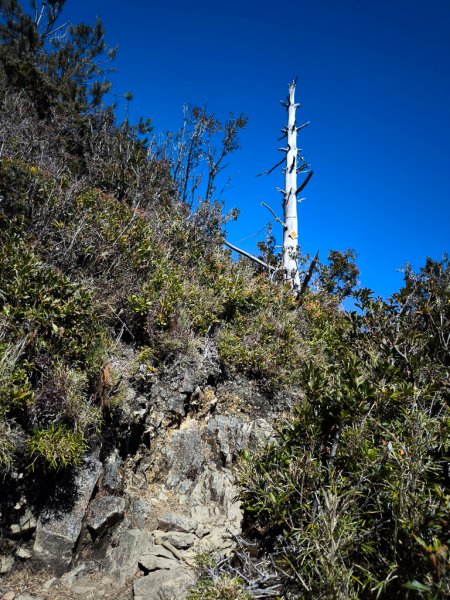 2026-02-09 庫哈諾辛山2998938