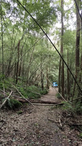 2025/6/14 橫龍山2839247