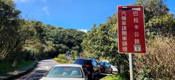 【中級山】台北版抹茶山竟然有免申請路線，小觀音山西峰單攻，順遊頂湖海芋步道，竹子湖黑森林2742409