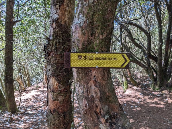 幾乎包場的兒玉山(自忠山)走東水山接特富野古道2548666