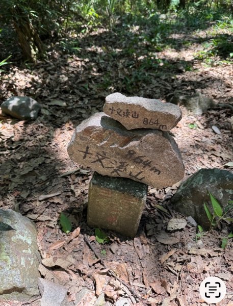 麗陽線 屋我尾步道逍遙遊3062925