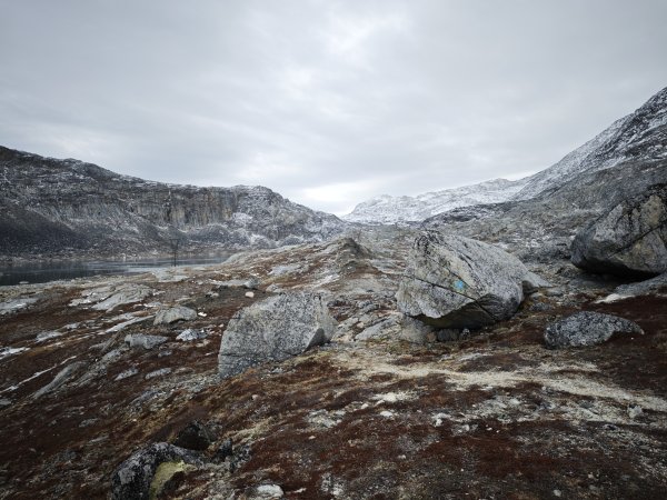 [紐約馬之行-45] 2025_1108 努克環狀步道 2/52951183