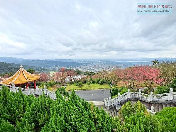 【台北市】三層崎花海-水磨坑山-二崎農場-永春寮山-復興山北峰-錫安巷