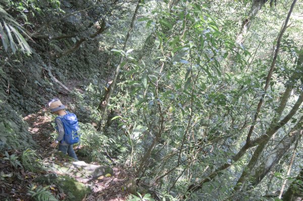 闊瀨古道-沿北勢溪谷而行的夏末之旅（淡蘭古道）2287640