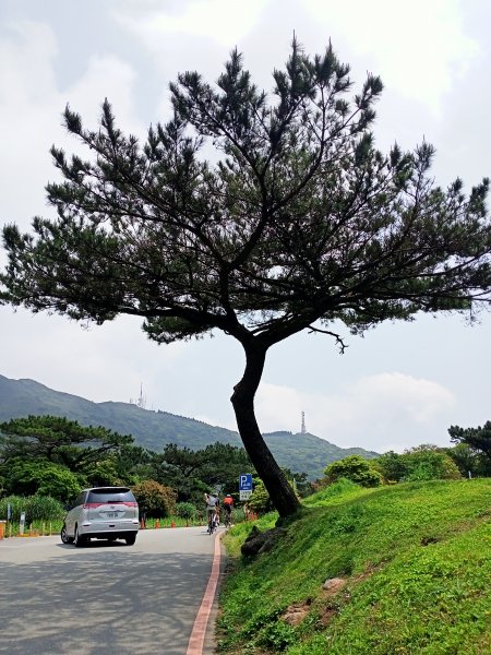 環七星山人車分道、百拉卡公路人車分道【走遍陽明山】2107405