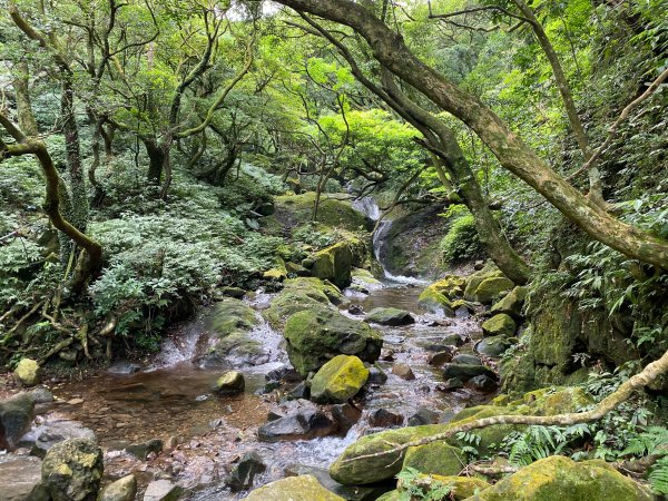 小觀音山大Ｏ1002733