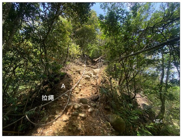 三角山步道 A上B下 (苗栗、三義)3125019