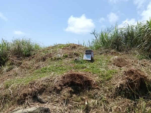 雙溪區坪溪古道-蛇仔崙-鶯子嶺-太和山-蛇子頭觀景台-梗枋越嶺古道鞍部-坪溪古道O型3029743